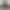 Serena Hill`s VR Porn Games