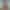 Sarah Arabic`s VR Porn Games