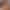 Rikki Savage: Home Alone sex scene 1 gallery