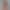 Vivienne Vo`s VR Porn Games