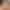 Steplovely sex scene 1 gallery