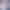 VR Porn Game: Seductive Science