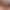Sorority Hookup: Inspect, Seduce, Punish sex scene 4 gallery