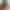 Agent 69 sex scene 2 gallery