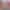 VR Porn Game: Family Secrets