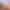 VR Porn Video with Angela White