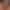 Sorority Hookup: Greek Week (Coming Out July 2nd) sex scene 7 gallery