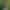 Nicole Vaunt`s VR Porn Games