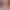 Sorority Hookup: Greek Week (Coming Out July 2nd) sex scene 2 gallery