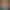 VR Porn Game: White Iris