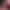 Porn Director Simulator sex scene 5 gallery