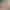 VR Porn Video with August Skye