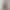 Molly Little`s VR Porn Games