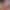Steplovely sex scene 2 gallery