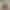 Lilly Bell`s VR Porn Games
