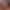 Sorority Hookup: Greek Week (Coming Out July 2nd) sex scene 5 gallery