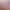 VR Porn Video with Coco Lovelock