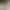 Kimmy Kimm`s VR Porn Games