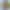 Liz Jordan`s VR Porn Games