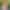 Lacy Lennon`s VR Porn Games