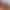 Sorority Clash: Part 1 (Coming Out September 10th) sex scene 3 gallery