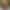 Chloe Temple`s VR Porn Games