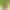 Alexis Tae`s VR Porn Games