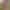 Lily Lou`s VR Porn Games