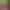 Sophia Sterling`s VR Porn Games