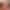 Sorority Clash: Part 2 (Coming Out October 8th) sex scene 2 gallery