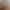 Sorority Clash: Part 2 (Coming Out October 8th) sex scene 1 gallery