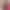 Dakota Tyler`s VR Porn Games