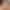 Steplovely sex scene 1 gallery