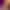 VR Porn Game: Double Delight