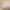 VR Porn Video with Katie Morgan
