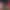 VR Porn Game: Sorority Hookup: The Blackmail