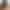 Agent 69 sex scene 2 gallery
