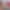 VR Porn Game: Family Secrets