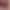 VR Porn Game: Womanizer Chronicles