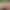 VR Porn Game: Sorority Hookup - Back To School