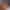 Anal Day sex scene 1 gallery