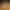VR Porn Game: Steplovely