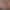 VR Porn Video with Whitney Wright