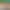 VR Porn Video with Nikki Nicole