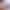 VR Porn Video with Coco Lovelock