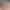 Lust Enforcement: Cuffed & Fluffed (Coming Out May 29th) sex scene 4 gallery