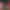 VR Porn Game: Sorority Hookup: The Blackmail (Coming out March 27)