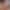 Steplovely sex scene 2 gallery