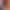 VR Porn Video with Octavia Red